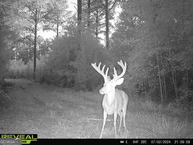 0 Seven Islands RD Madison, GA 30650