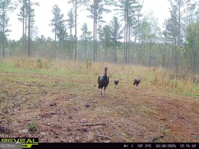 0 Seven Islands RD Madison, GA 30650