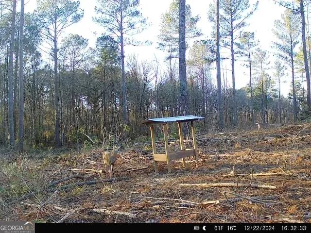 0 Seven Islands RD Madison, GA 30650