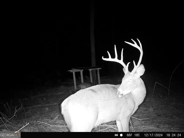 0 Seven Islands RD Madison, GA 30650