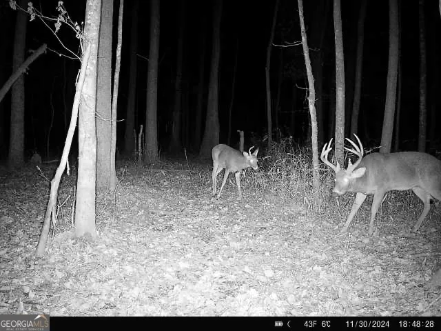 0 Seven Islands RD Madison, GA 30650