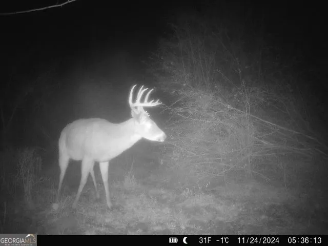 0 Seven Islands RD Madison, GA 30650