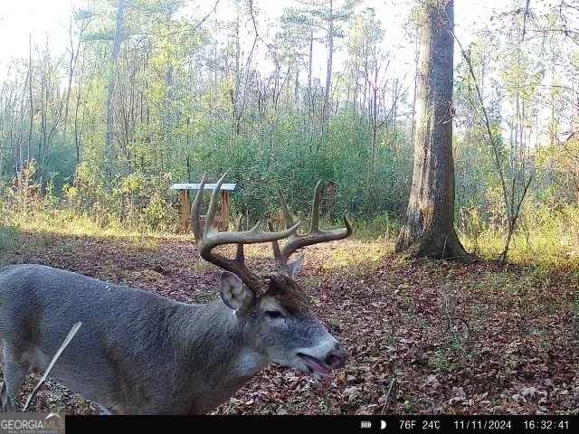 0 Seven Islands RD Madison, GA 30650