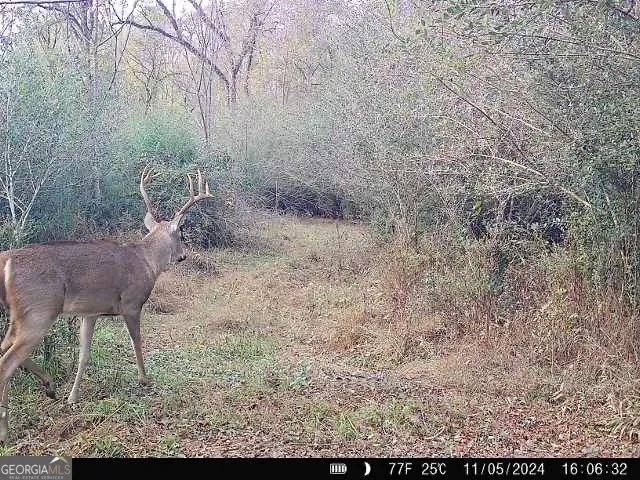 0 Seven Islands RD Madison, GA 30650