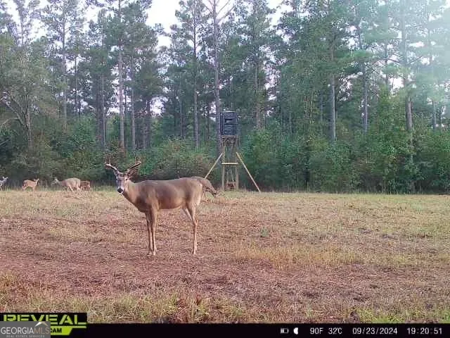 0 Seven Islands RD Madison, GA 30650
