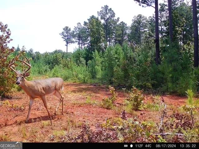 0 Seven Islands RD Madison, GA 30650