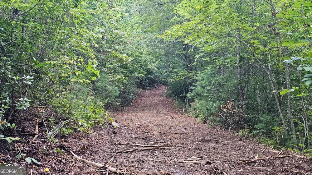 0 Hwy 28 Clayton, GA 30525