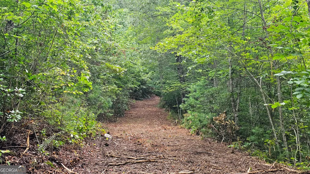 0 Hwy 28 Clayton, GA 30525