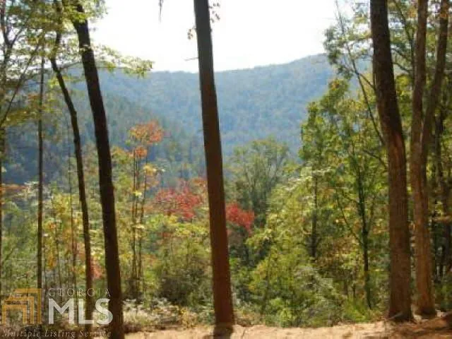 0 Hwy 28 Clayton, GA 30525