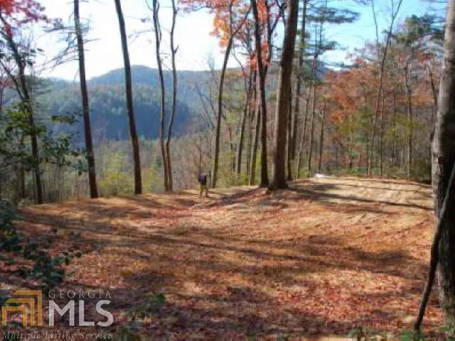 0 Hwy 28 Clayton, GA 30525