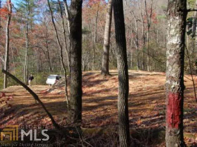 0 Hwy 28 Clayton, GA 30525