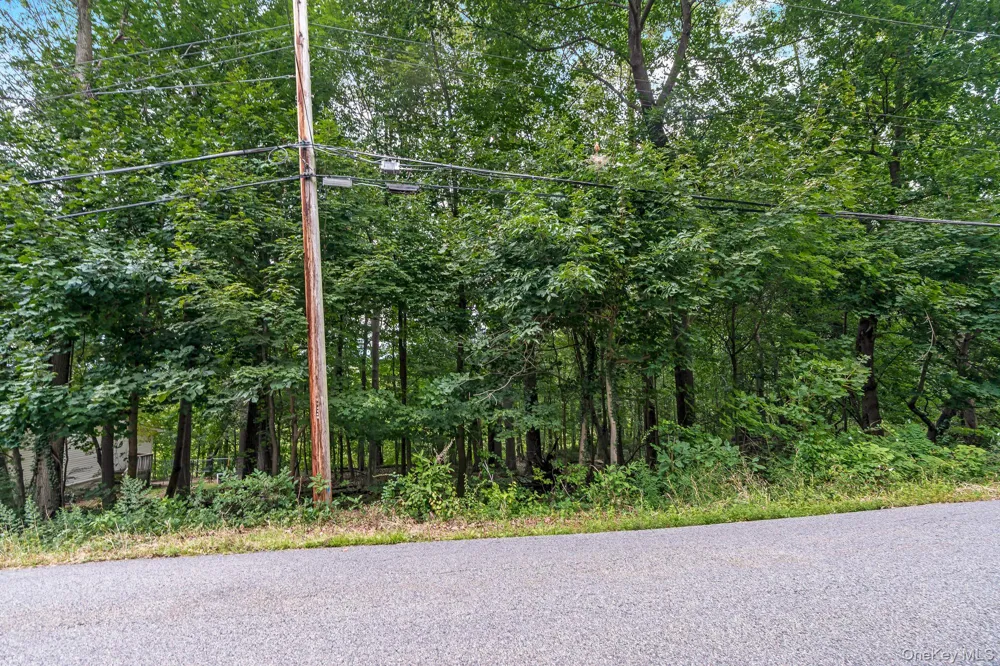 Sagamore Avenue Mohegan Lake, NY 10547