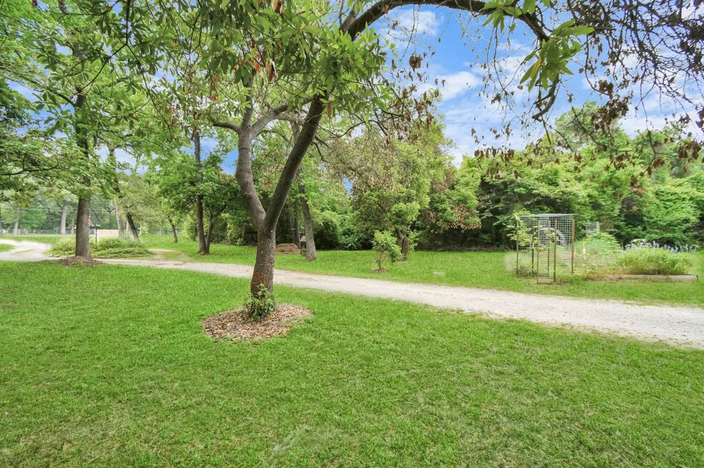 24998 Sorters Road Porter, TX 77365