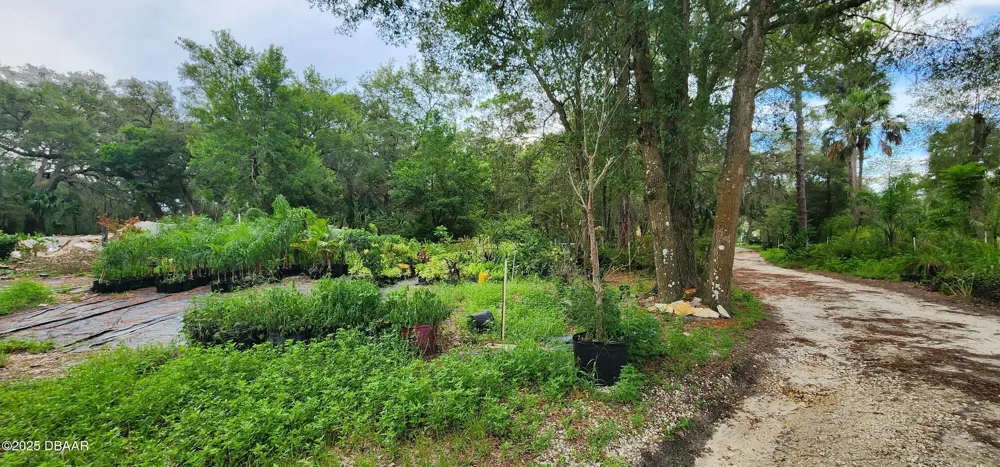 711 Sunset Avenue Orange City, FL 32763