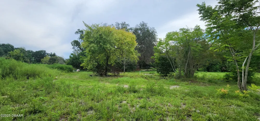 711 Sunset Avenue Orange City, FL 32763