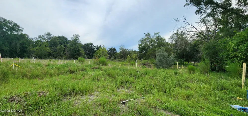 711 Sunset Avenue Orange City, FL 32763
