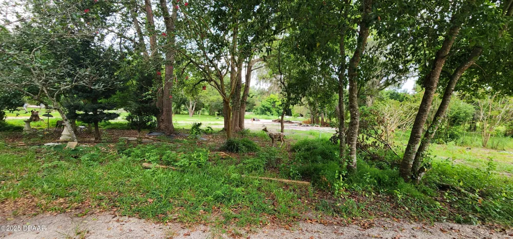 711 Sunset Avenue Orange City, FL 32763