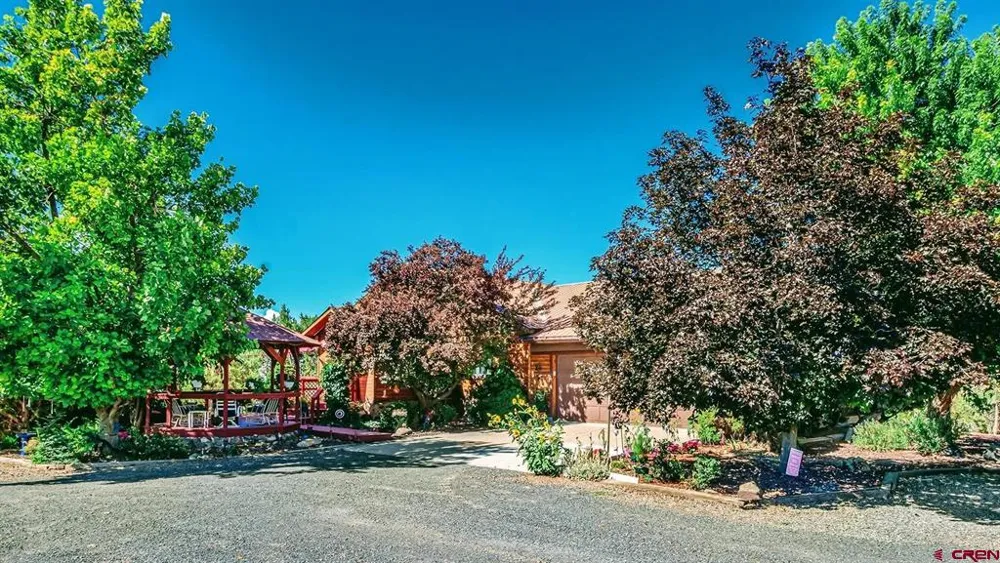 16113 Bull Mesa Road Cedaredge, CO 81413