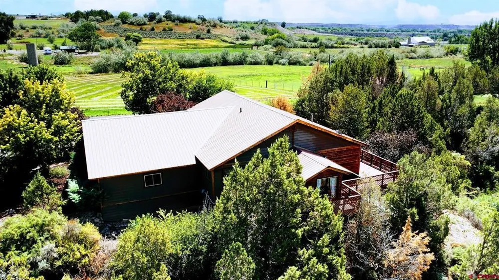 16113 Bull Mesa Road Cedaredge, CO 81413