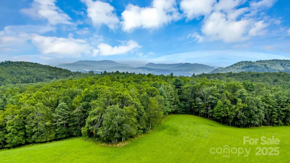 TBD Murphy Bend Road Ennice, NC 28623