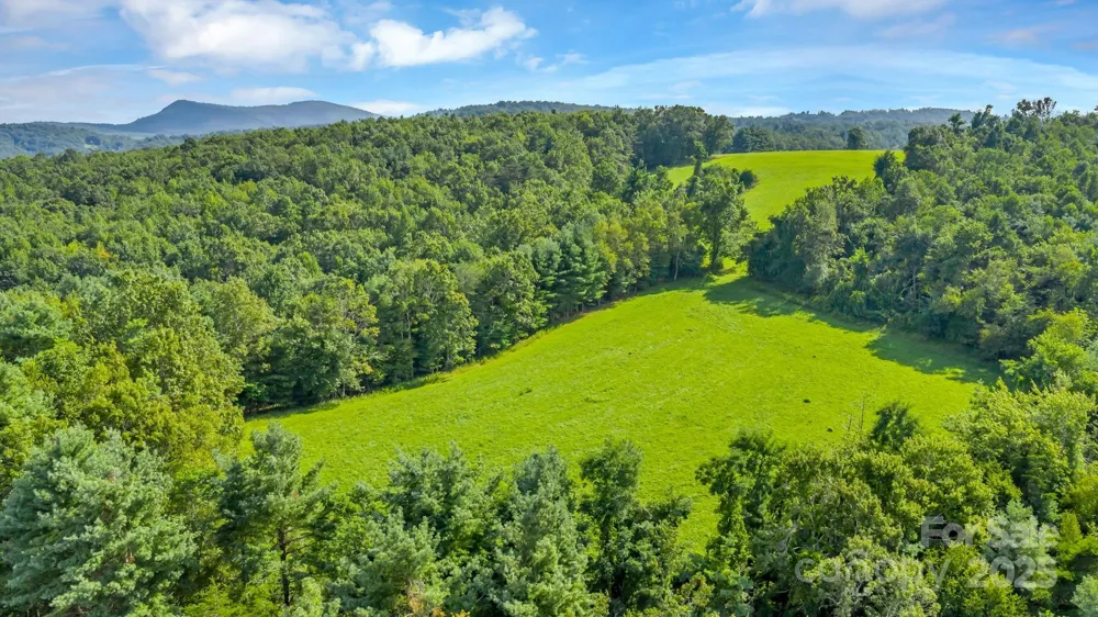 TBD Murphy Bend Road Ennice, NC 28623