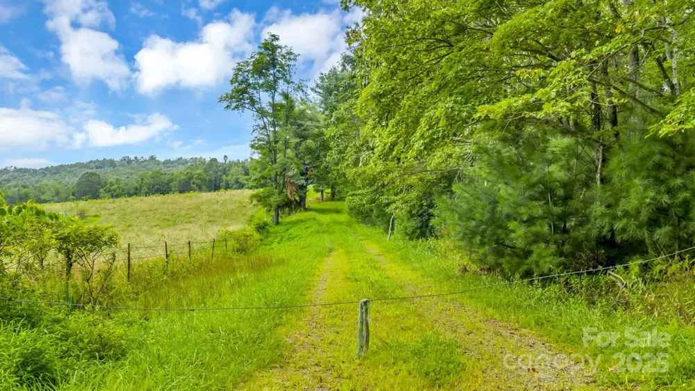 TBD Murphy Bend Road Ennice, NC 28623