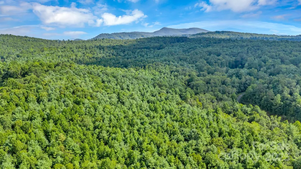 TBD Murphy Bend Road Ennice, NC 28623