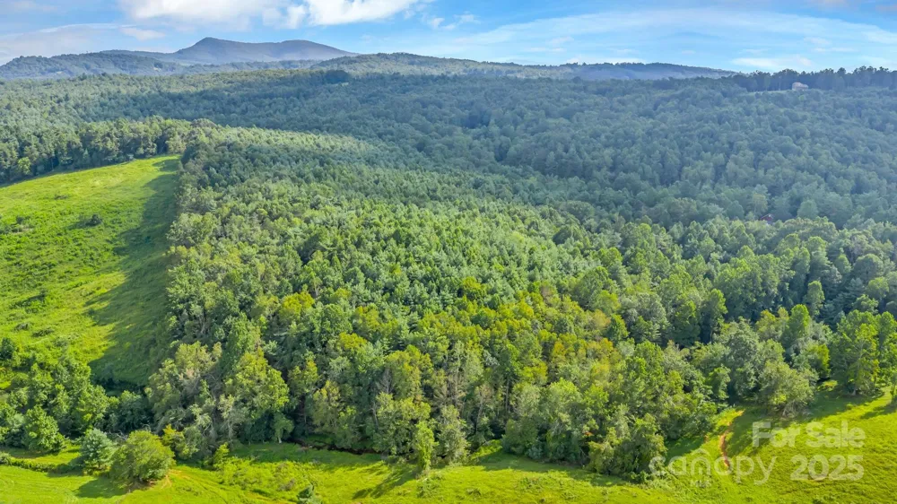 TBD Murphy Bend Road Ennice, NC 28623