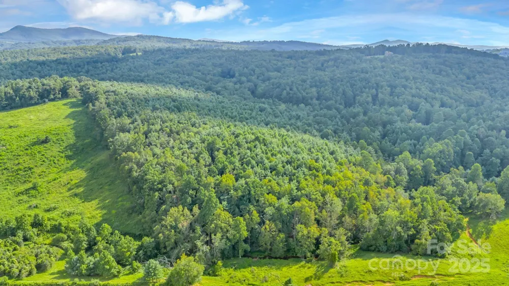 TBD Murphy Bend Road Ennice, NC 28623