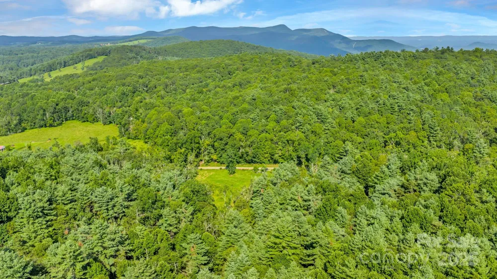 TBD Murphy Bend Road Ennice, NC 28623