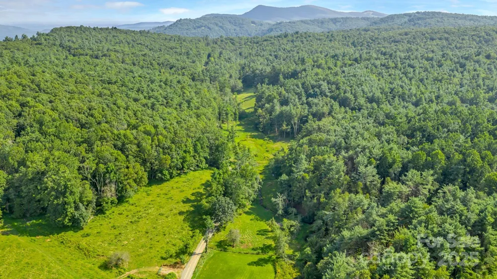 TBD Murphy Bend Road Ennice, NC 28623