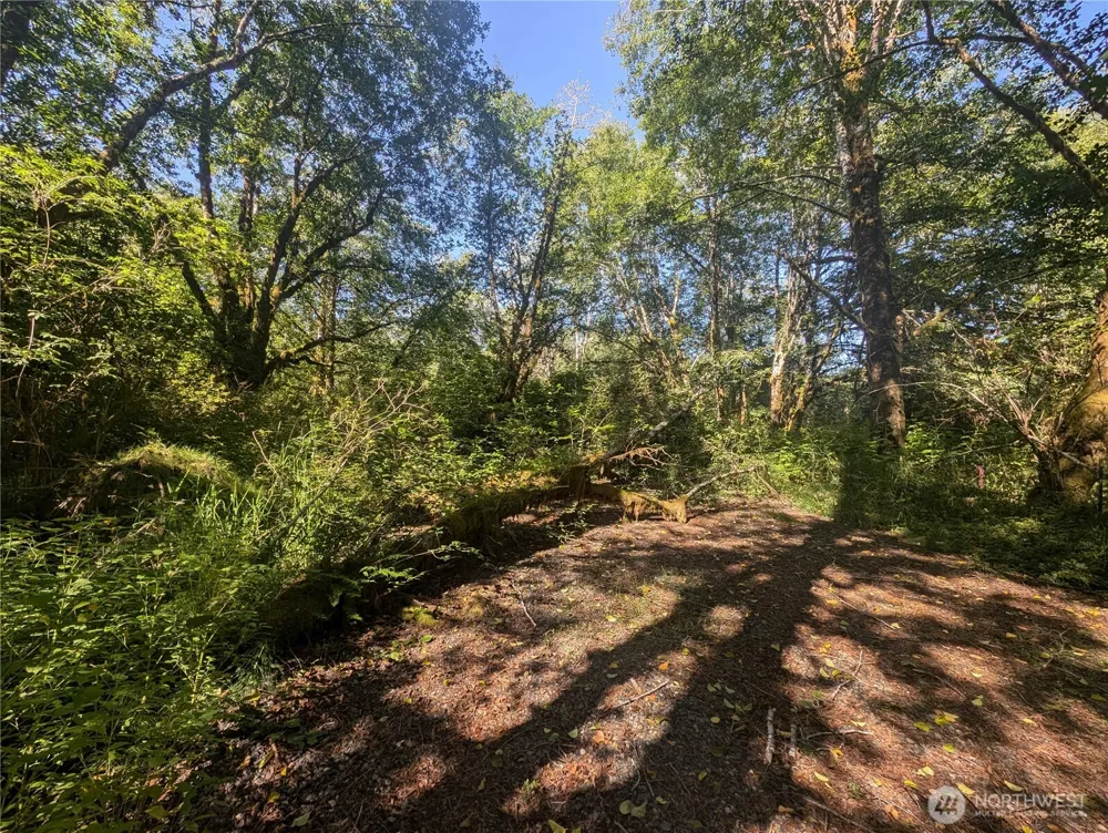 999 Whitcomb-Dimmel Road Forks, WA 98331