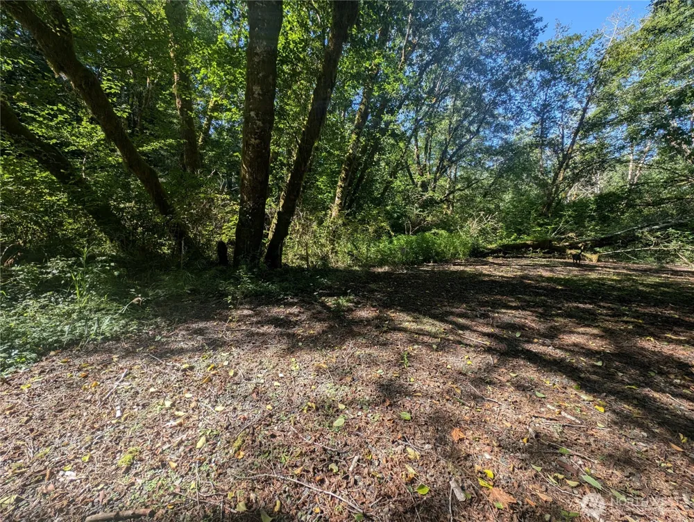 999 Whitcomb-Dimmel Road Forks, WA 98331
