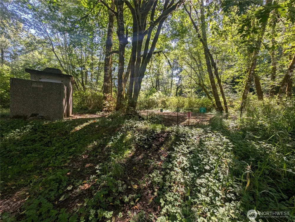 999 Whitcomb-Dimmel Road Forks, WA 98331