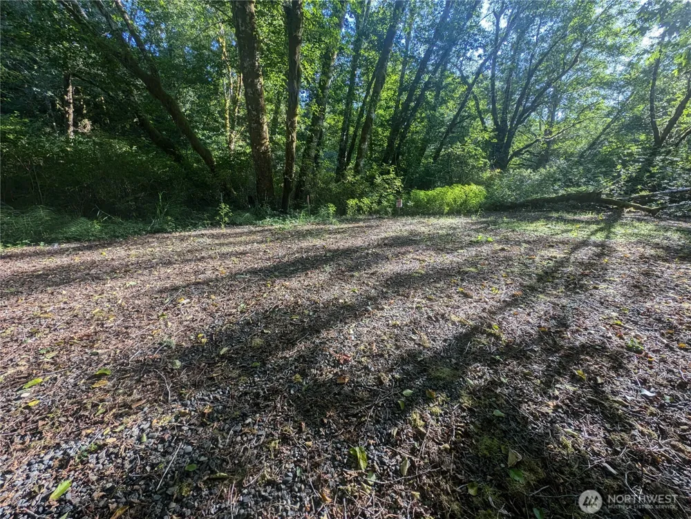 999 Whitcomb-Dimmel Road Forks, WA 98331