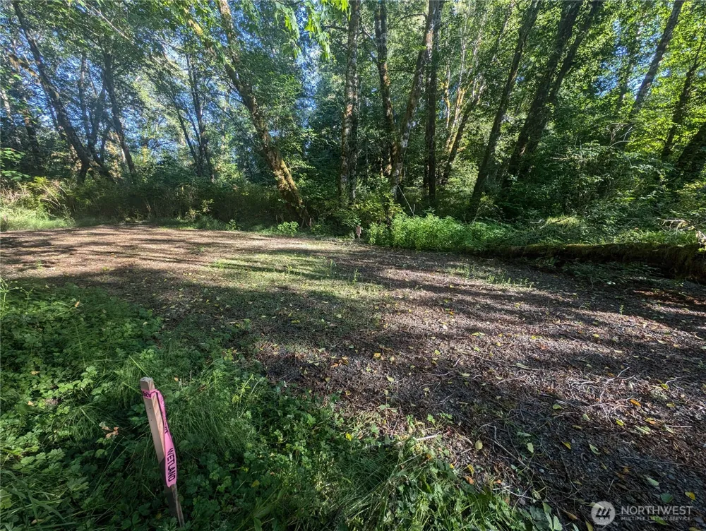 999 Whitcomb-Dimmel Road Forks, WA 98331