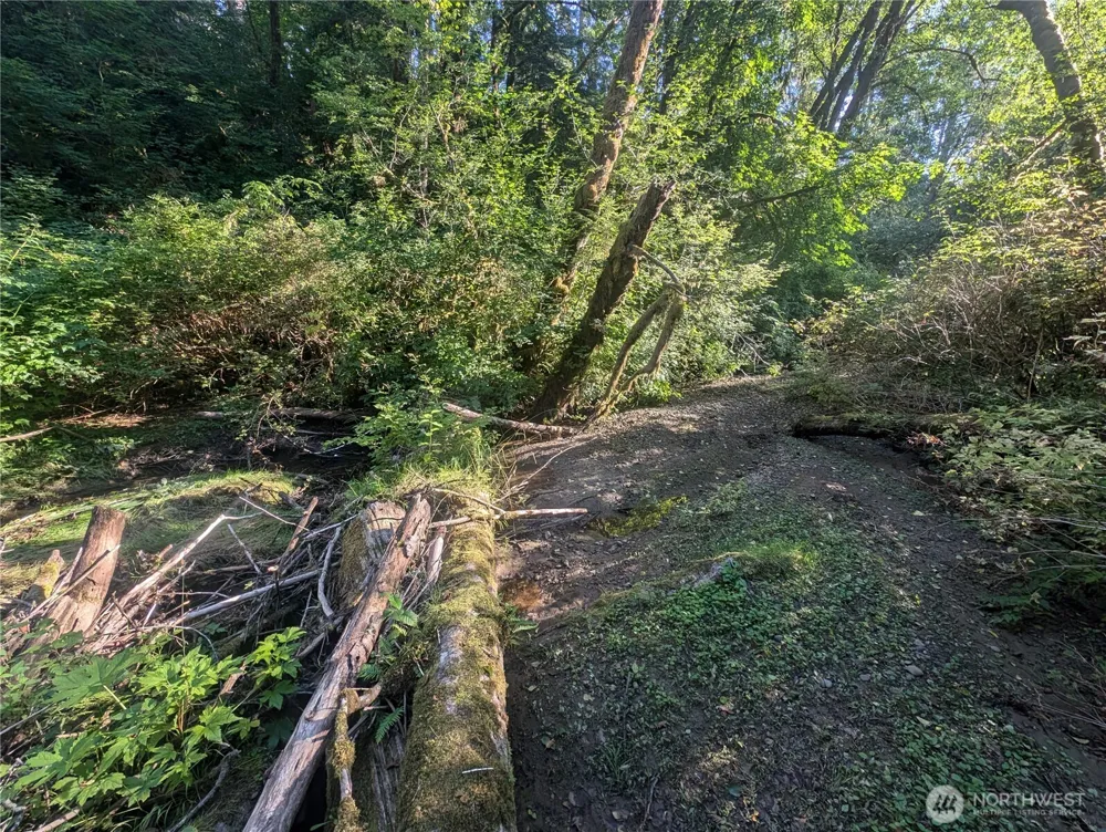 999 Whitcomb-Dimmel Road Forks, WA 98331