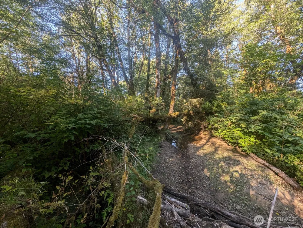999 Whitcomb-Dimmel Road Forks, WA 98331