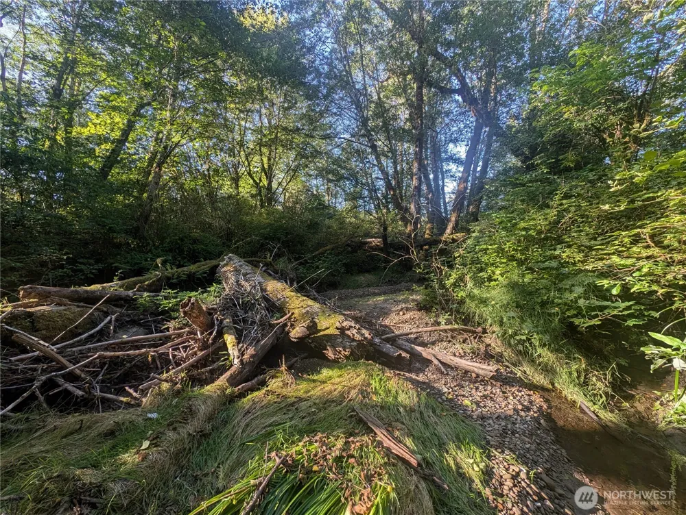 999 Whitcomb-Dimmel Road Forks, WA 98331