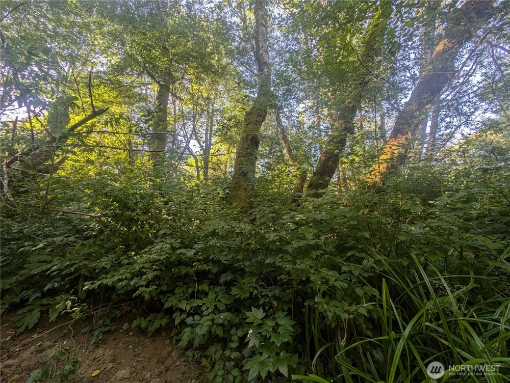 999 Whitcomb-Dimmel Road Forks, WA 98331