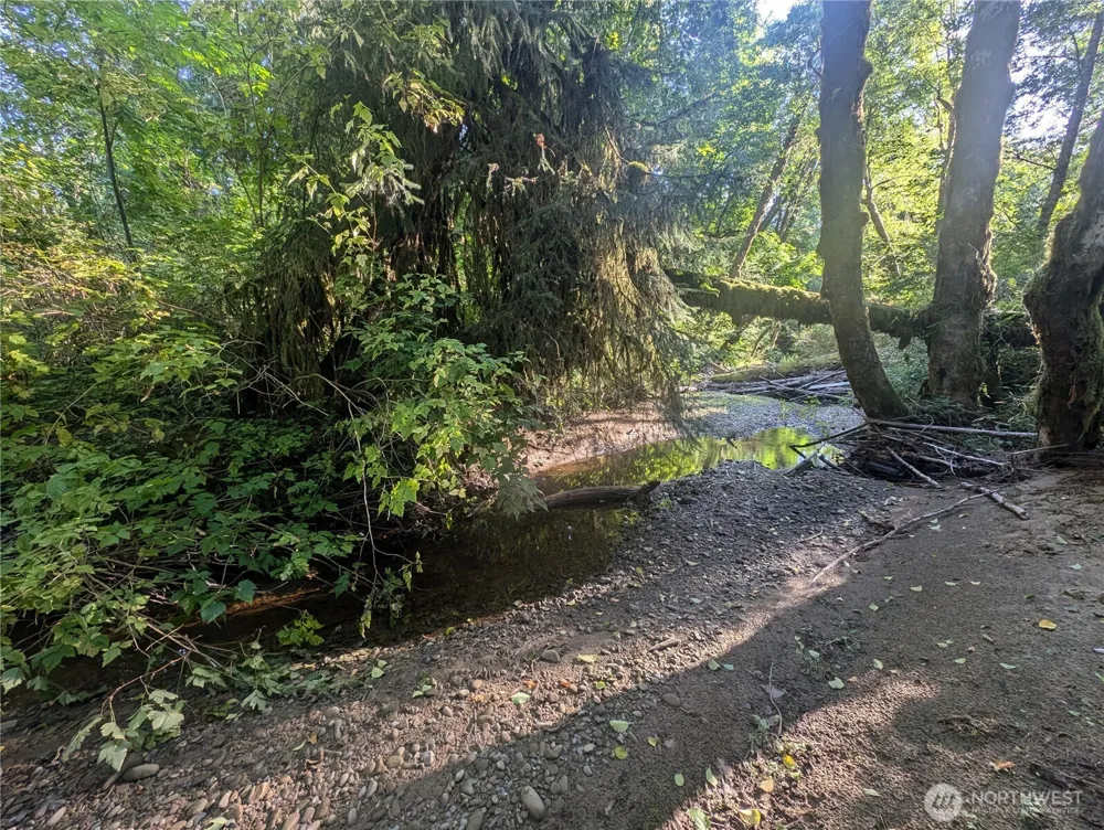 999 Whitcomb-Dimmel Road Forks, WA 98331