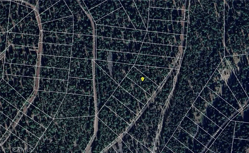 Beaver Drive Alturas, CA 96101