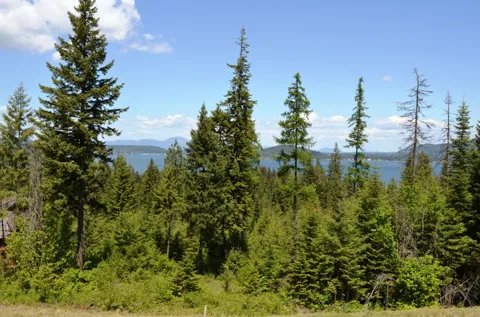5343 S JACKLEG TRAIL