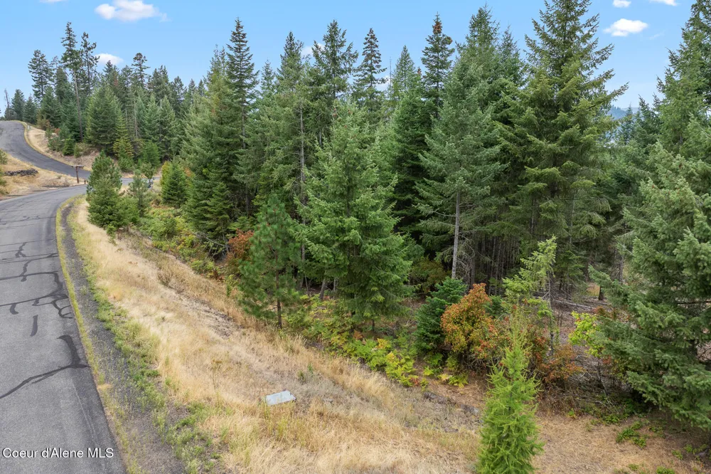 5343 S JACKLEG TRAIL Harrison, ID 83833