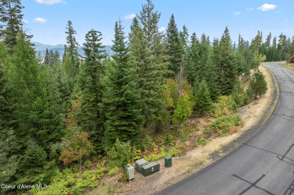 5343 S JACKLEG TRAIL Harrison, ID 83833