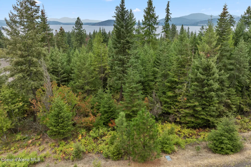 5343 S JACKLEG TRAIL Harrison, ID 83833