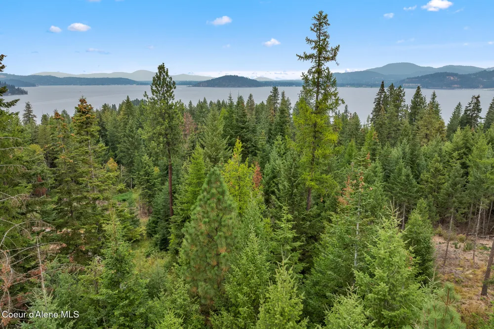 5343 S JACKLEG TRAIL Harrison, ID 83833