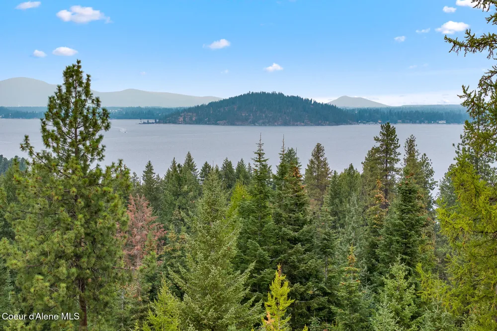 5343 S JACKLEG TRAIL Harrison, ID 83833