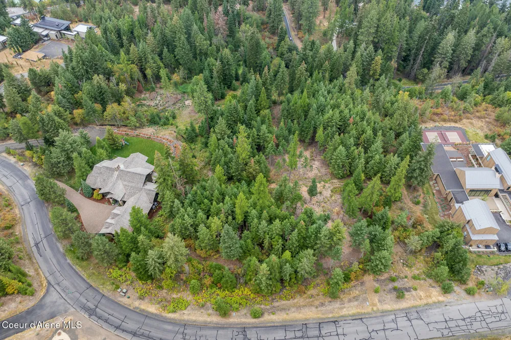5343 S JACKLEG TRAIL Harrison, ID 83833