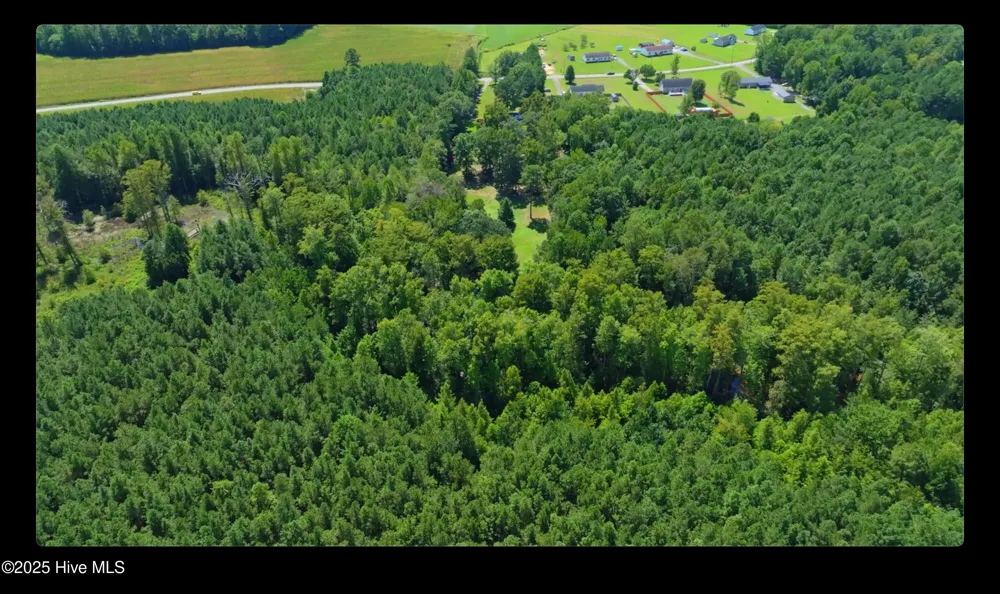 1309 Mallory Buck Road Gates, NC 27937